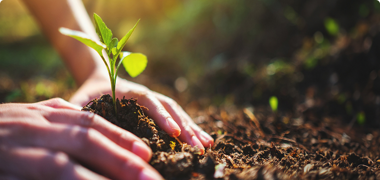 サステナビリティ