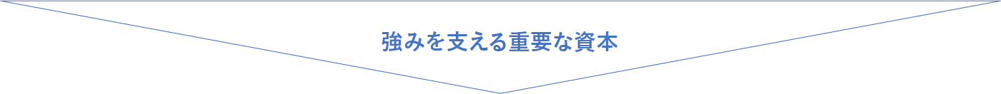 信用できるオンラインカジノを支える重要な資本